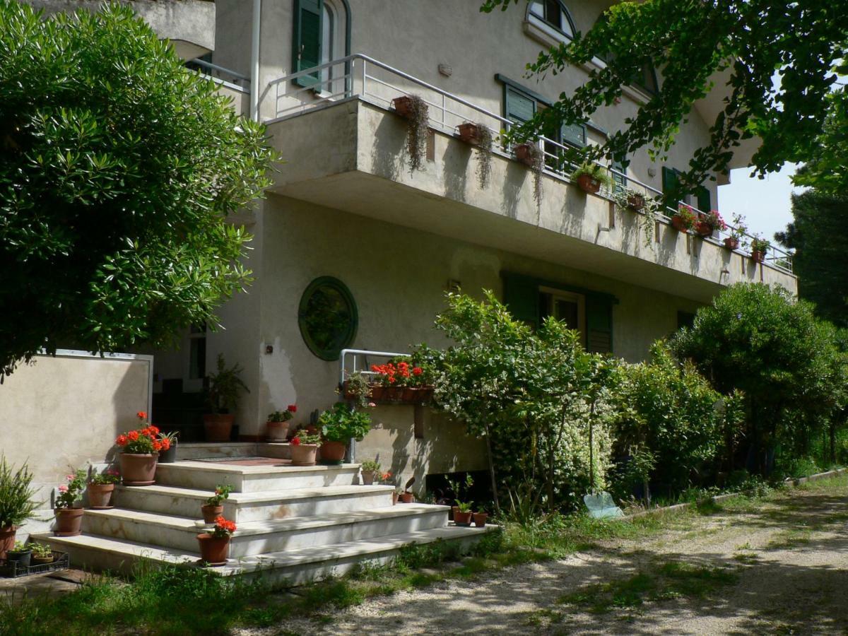 B&B Sun Garden Montoro Inferiore Εξωτερικό φωτογραφία